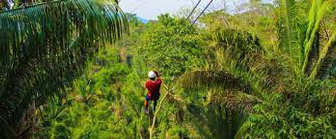 Zip lining.jpeg