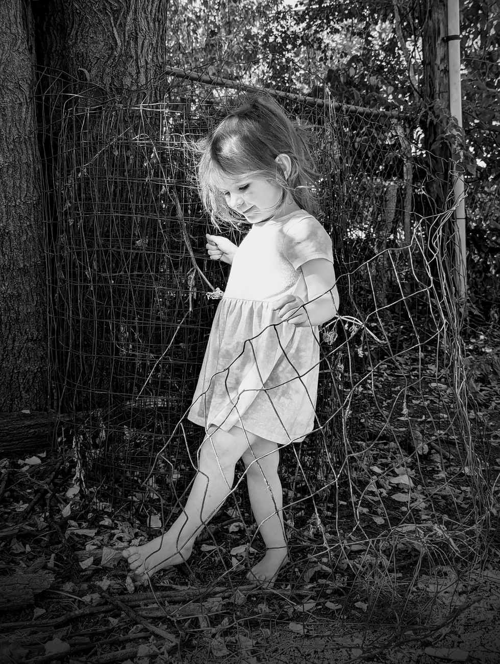 PXL_20240915_152636002~2