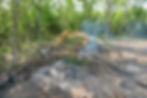 DJI_0928.JPG