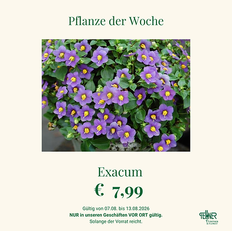 Pflanze der Woche KW 32(1).png