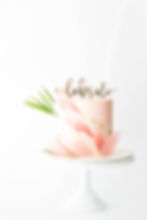 Eva 2nd Birthday Pink Feather Cake 1
