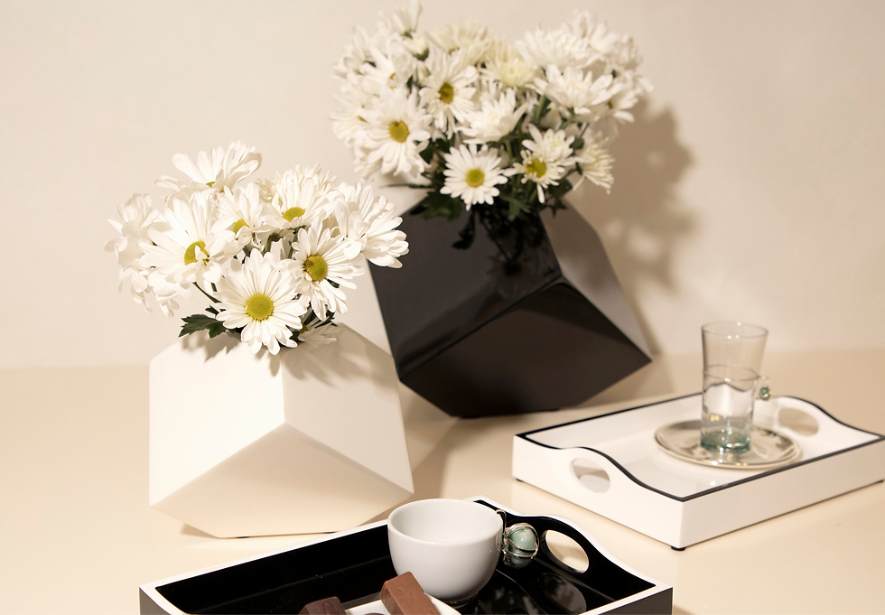 White & Balck- Cube Vases