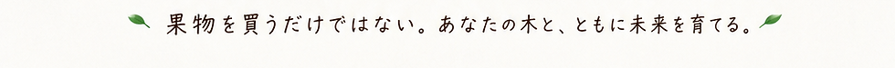 o4.png