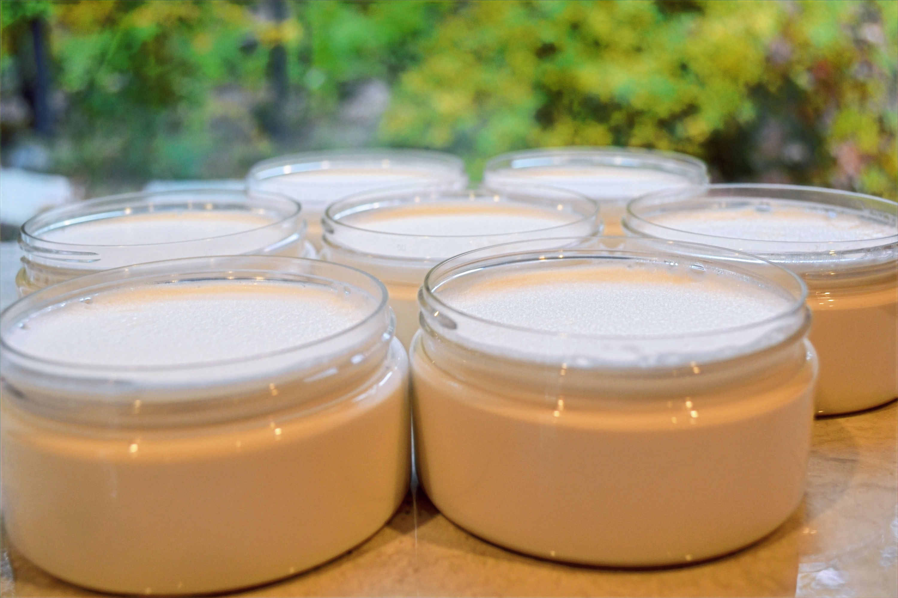 AVOCADO & SHEA MOISTURIZER