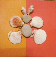 IMG-c67151c363608fa5389c23fc05e22a4c-V.j