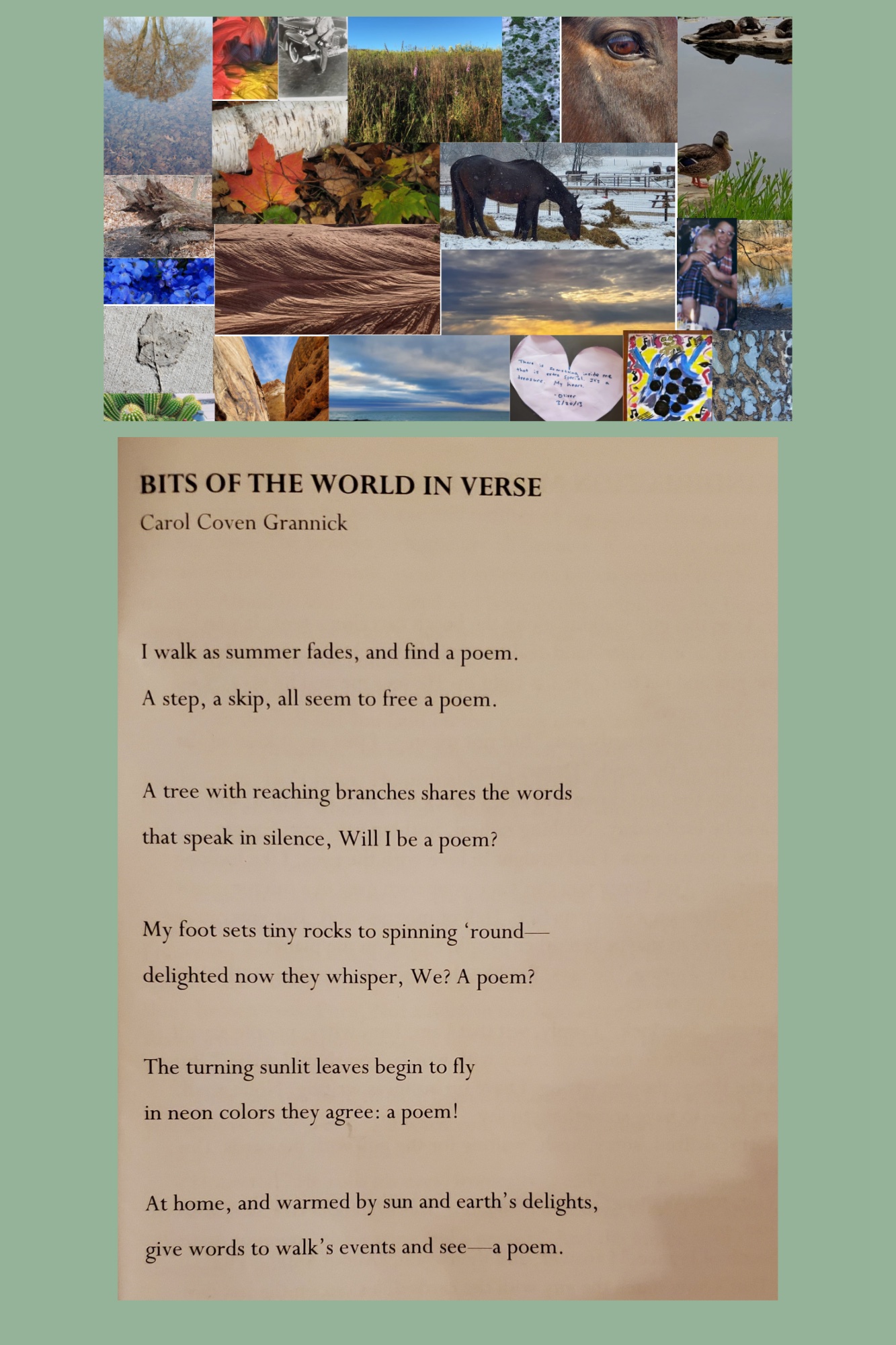 BITS OF THE WORLD IN VERSE PLUS POEM.jpg