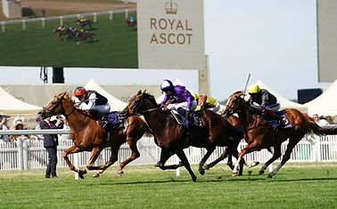 The Official Passport Bros.com, Blue Book Gentlemen Royal Ascot