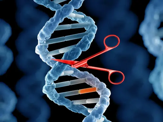 How CRISPR is Changing the Way We Grow Our Food 