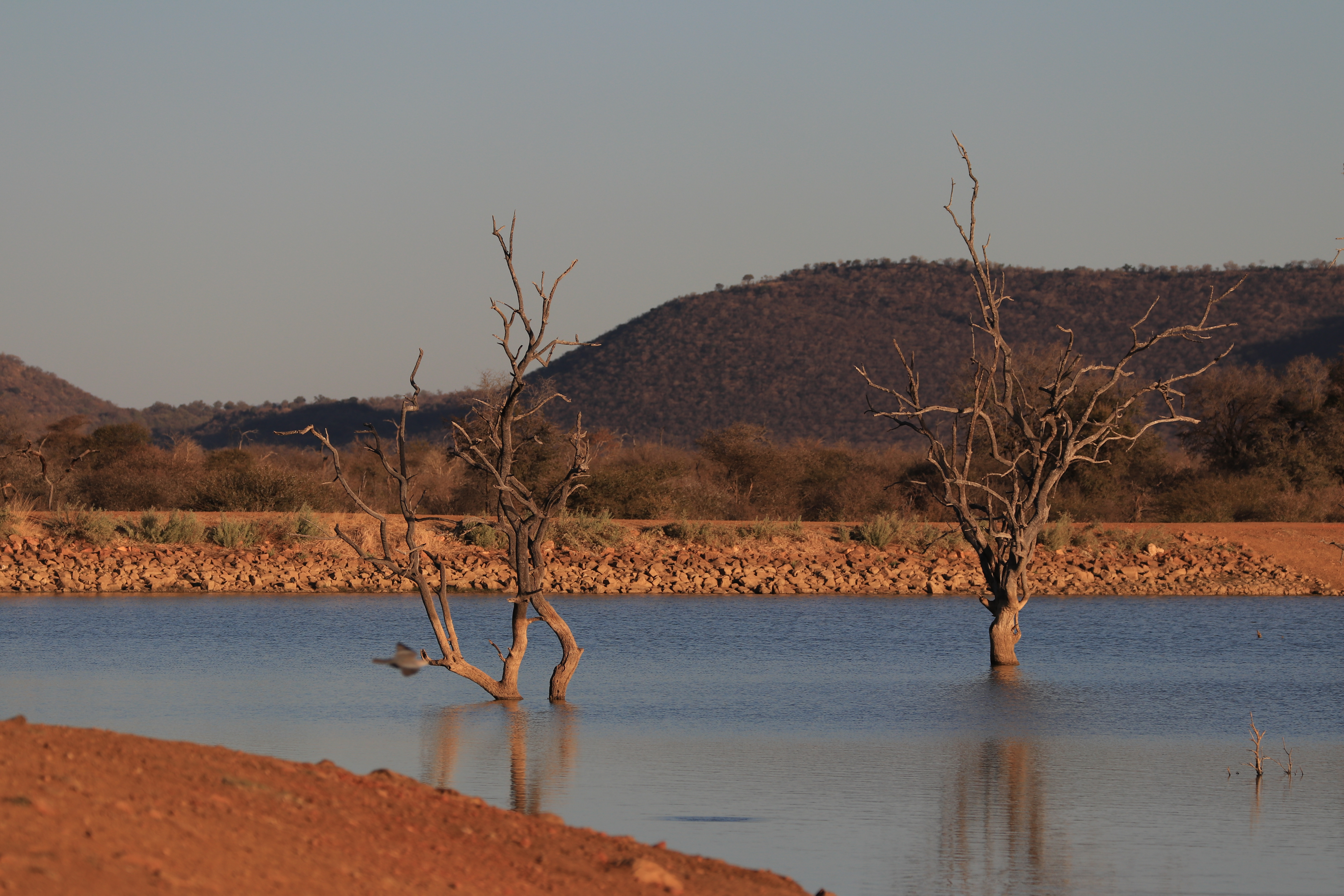 waterhole
