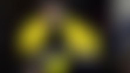 Cuña gaucha en la franja amarilla