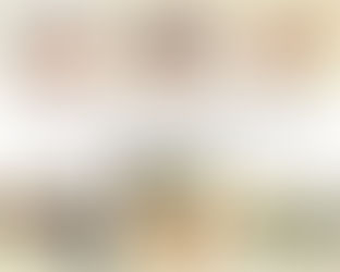 Dominó de mariposas del NOA y El juego de las aves de Argentina