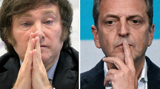 HUMOR POLÍTICO EN UN PAÍS PARA LLORAR: Vendo voto 0 km, ideal balotaje. Por Alejandro Boreinsztein