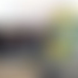 Antes del G-20 y después