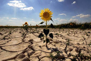 CAMBIO CLIMÁTICO. ALERTA: NO PERJUDIQUEMOS A LAS FUTURAS GENERACIONES