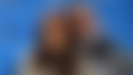 Cristina Kirchner eligió una defensa política pero se encamina a ser procesada