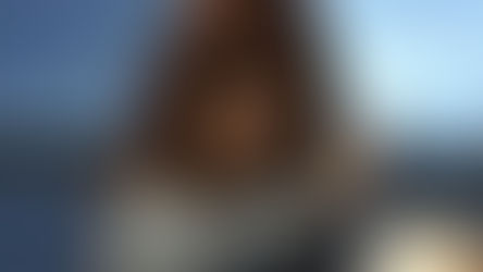 SIN VERGÚENZA: EN UN AÑO CRISTINA KIRCHNER COBRARÁ MÁS DE MIL JUBILACIONES MÍNIMAS