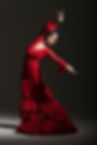 Flamenco Dancer