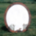 Duck and Cattail Mirror