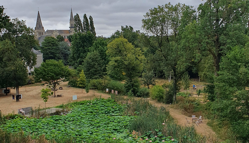 18 vu du jardin Camifolia.jpg