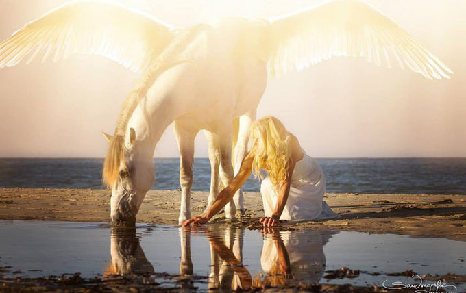 Bildbearbeitung / Composing
Pegasus 