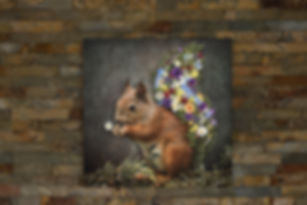 Wandbild "Hörnchen II"