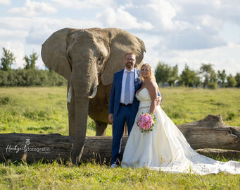 After wedding, Trash my dress, Trash the dress, Ruhrgebiet, Rheinland, Niederrhein, NRW, Nordrheinwestfalen,