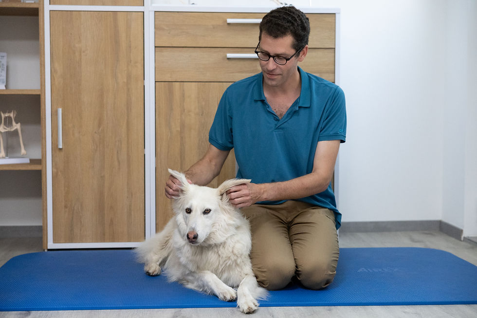 11.09. - 13.09.2026: Craniosacrale Therapie am Hund - Einsteigerkurs