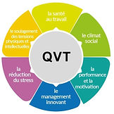 IMG QVT2.jpg