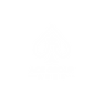 ACE (360 × 360 px).png