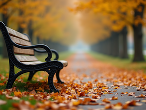 Navigating Mental Health Struggles Among Veterans and Finding Support