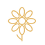Florals.png