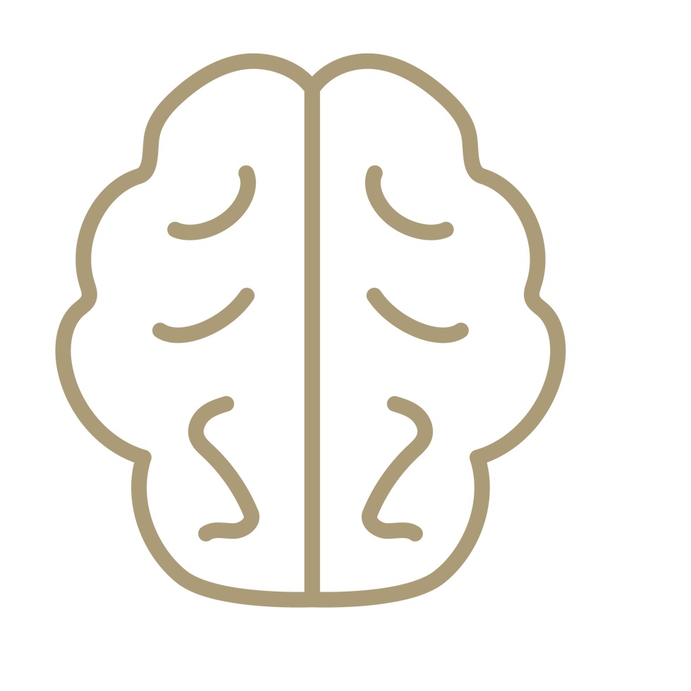 Brain.png