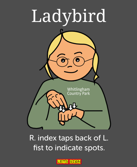 A dark grey sign with an illustration of a blonde haired girl demonstrating the British Sign Language sign for ladybird