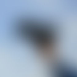 📷 Capture nature's beauty in 2026