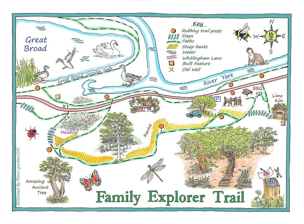 Colourful illustrated map of part of Whitlingham Country Park for the Family Explorer Trail