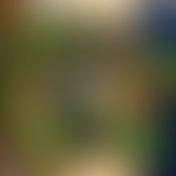 Handmade Christmas wreath with pine cones, dried orange slices, red ribbon and a green ribbon bow.