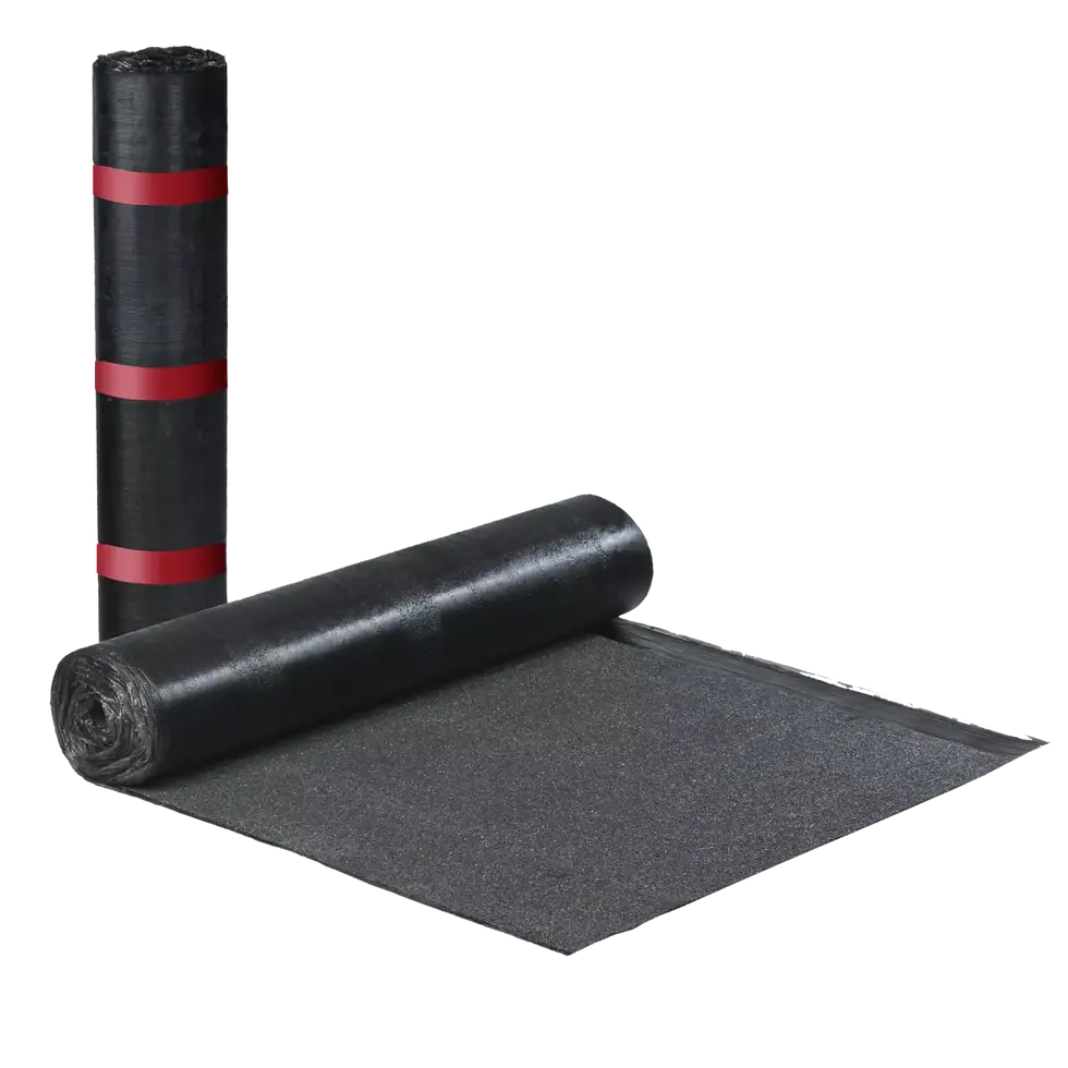 image-6-1360x1360.webp
