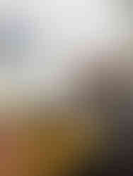 barista koffie drink travel hotspot hipster trend lifestyle café The Coffee Giraffe TCG Amsterdam