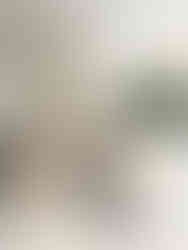 barista koffie rotterdam travel hotspot hipster trend lifestyle café The Coffee Giraffe TCG