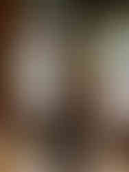 barista koffie drink travel hotspot hipster trend lifestyle café The Coffee Giraffe TCG Amsterdam