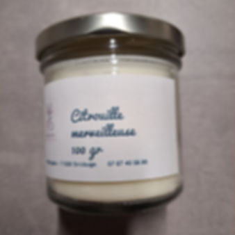 Bougie 100 gr Citrouille merveilleuse