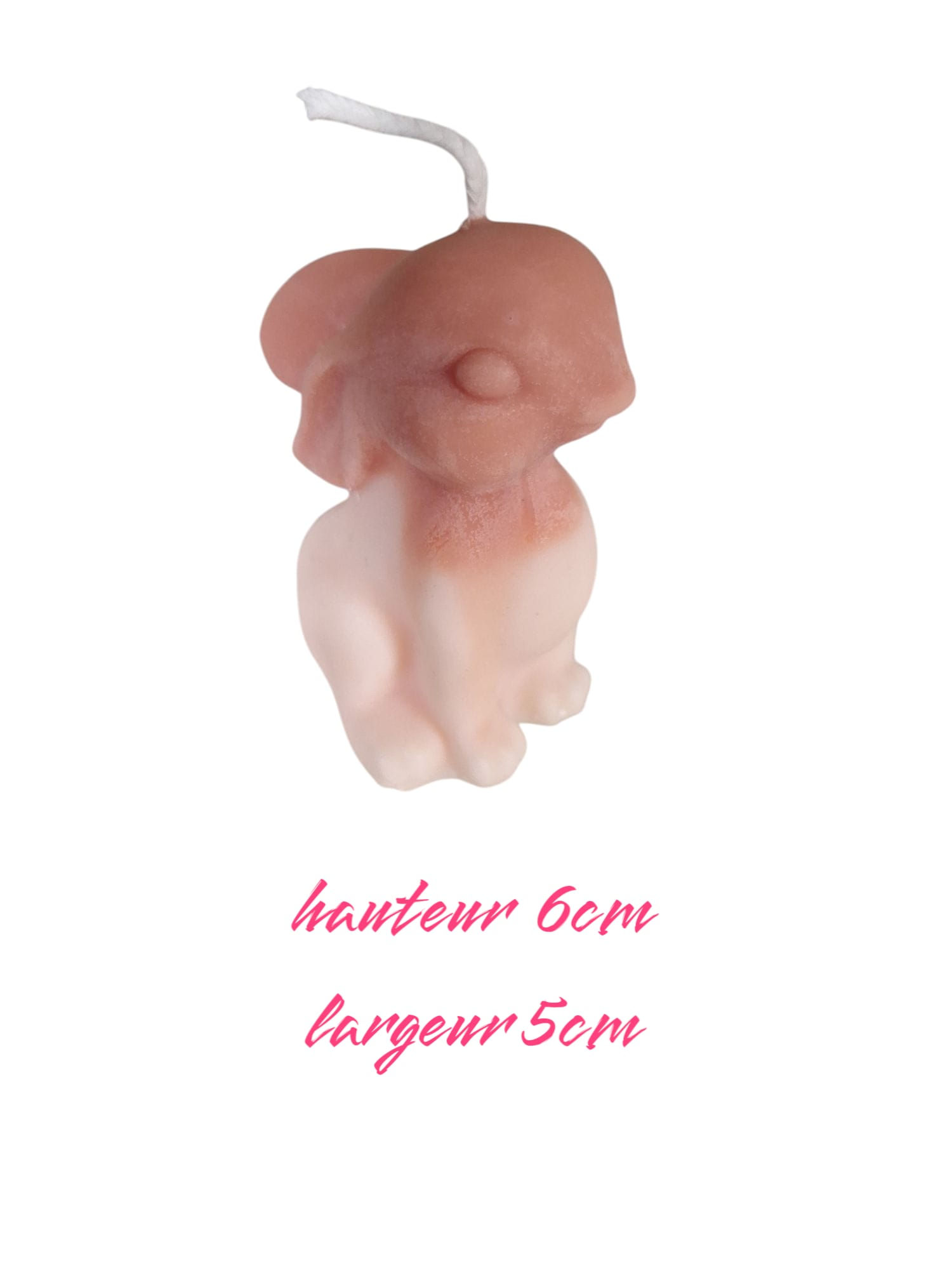 Lapin debout