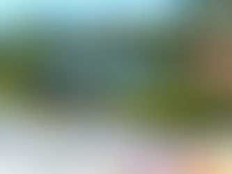 Making a Vermont Memory