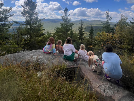 A row of people with their backs to the camera look out over a mountainous forest vista.