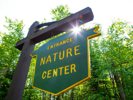 Free Nature Programs in July!