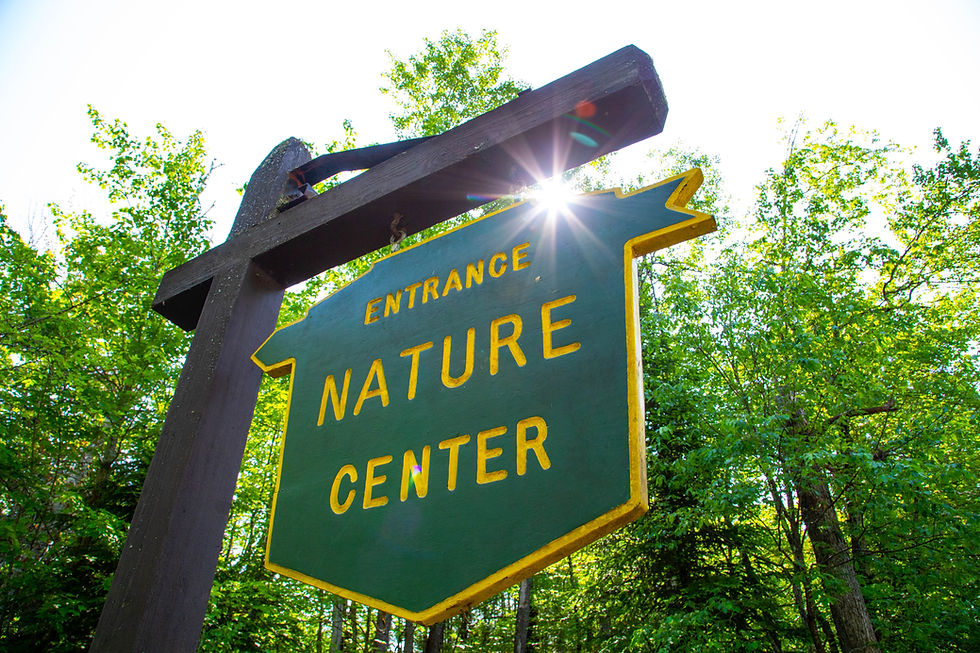 Free Nature Programs in July!