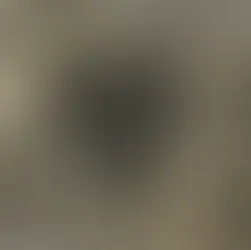 the gangster convention: when nucky and al capone held hands on the boardwalk (lol JUST KIDDING maybe...)