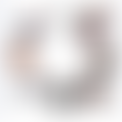 atlantic city's nightmare blunt rotation in the epstein files