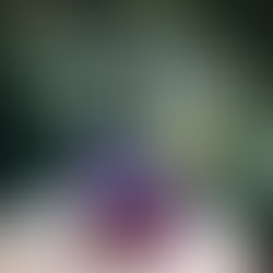 Cocktail happy hour social media template