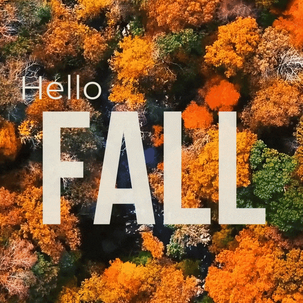 Fall social media template